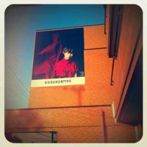 IMG_8319 IMG_8319