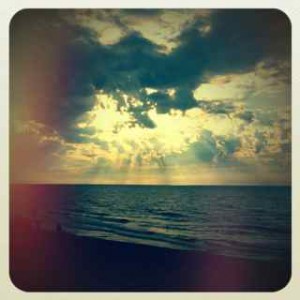 IMG_6317 IMG_6317