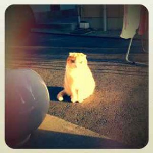 IMG_4585 IMG_4585