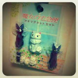 IMG_7437 IMG_7437