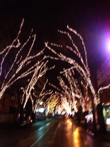 IMG_0098_convert_20130117094217